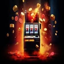5542 slots